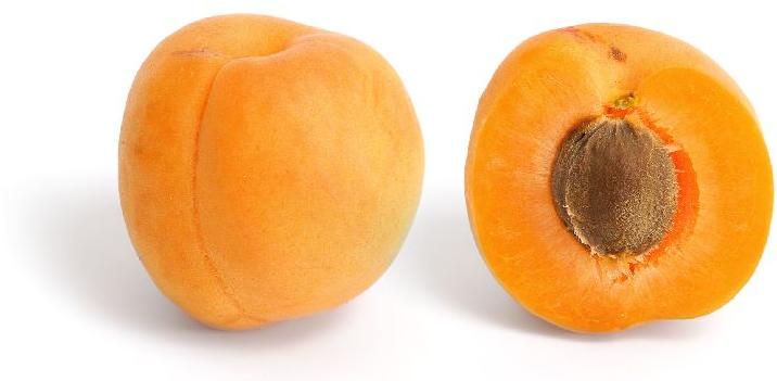 Organic Fresh Apricot