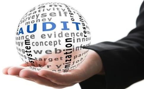 Audit Assignment Services