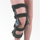 Platinum Knee Brace