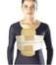 Sternal Brace
