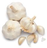 White Garlic