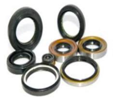 Oil seal