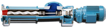 Progressive Cavity Pumps