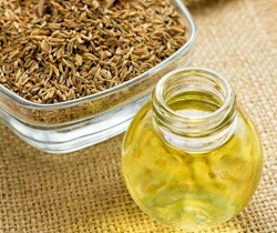 Organic Caraway Oil