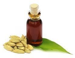 Organic Cardamom Oil