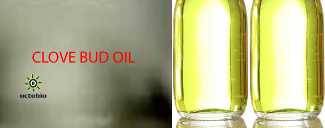Clove Bud Oil