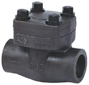 Forged steel check valve