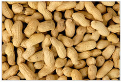 groundnut kernels seeds
