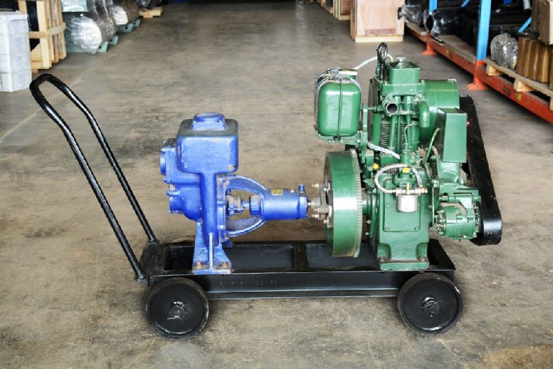 Electric Semi Automatic portable pump, for Draining Cleaning, Voltage : 220V