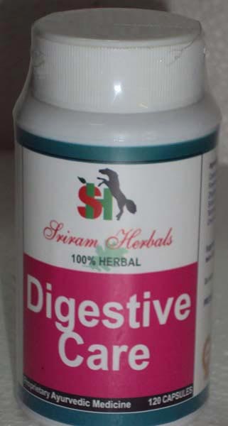 DIGESTION CAPSULES