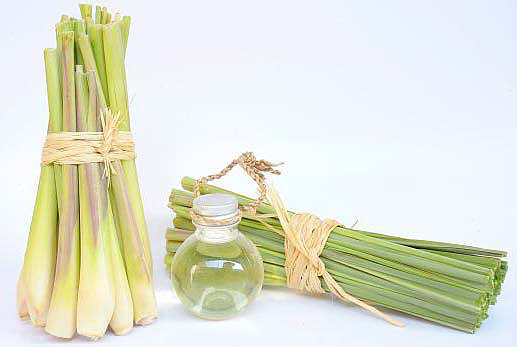 Lemon Grass oil