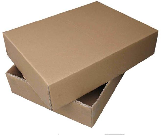 Top and Bottom Carton BOX