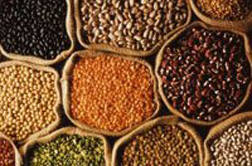 Indian grains