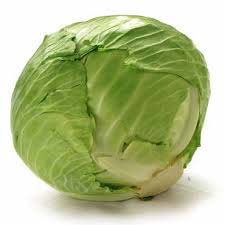 cabbage