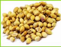 Coriander seeds