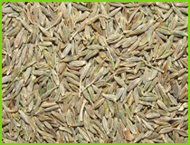 Cumin seeds