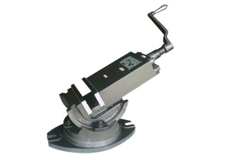 Tilting and Swiveling Vice