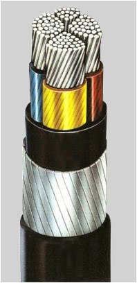 Power Cable