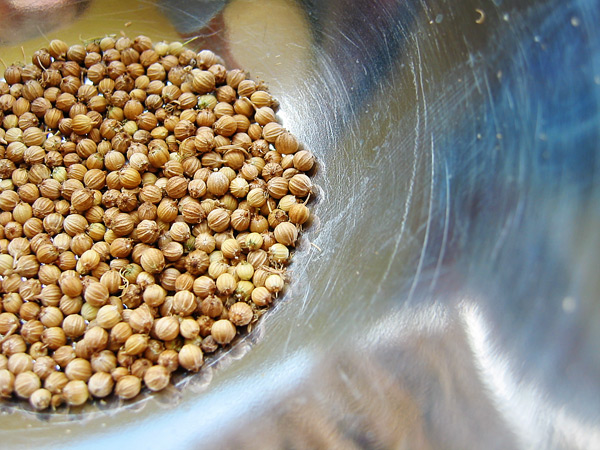 Coriander seeds