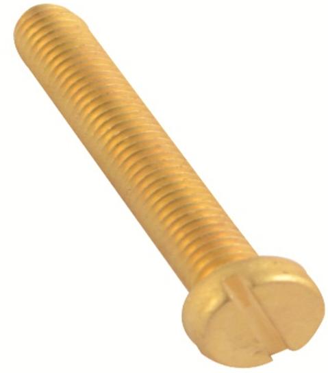 Brass Slotted Pan Screws two