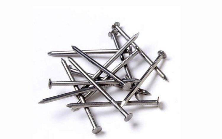 Common Wire Nails - Shree Wire Products, Kolkata, West Bengal