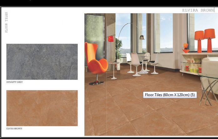 60cm X 120cm Floor Tiles