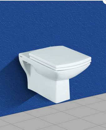 Wall Hung Toilet Seat