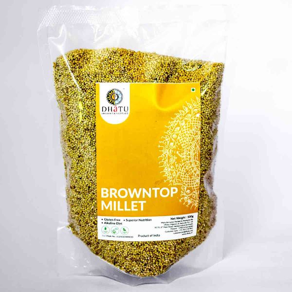 Browntop Millet