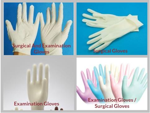 SURGICAL AND EXAMINATION GLOVES