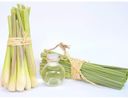 Lemon Grass oil