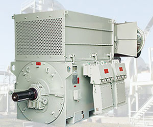 High Voltage Motors