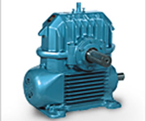 Worm Gearboxes