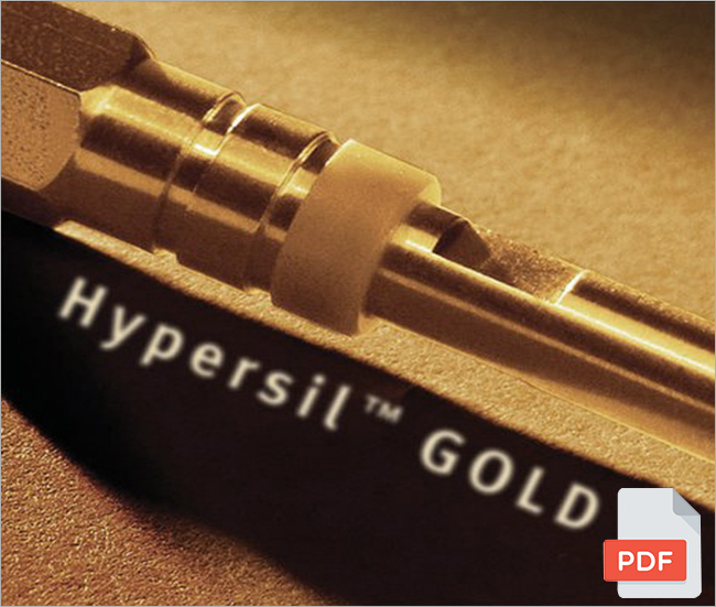 Hypersil Gold column