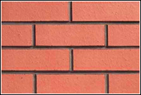 Wire Cut Bricks