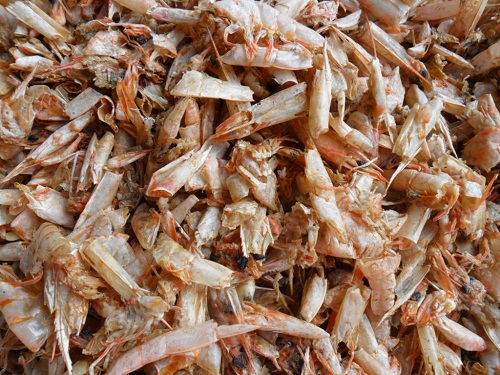 dry shrimp shell