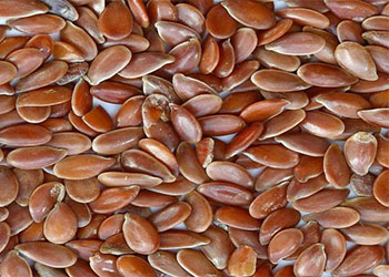 Roasted Lin Seeds