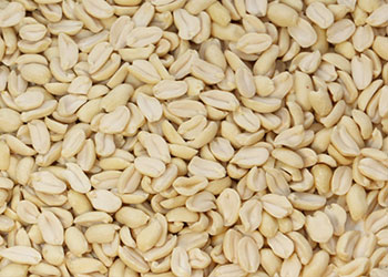 Roasted White Blanched Split peanut