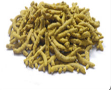 Erode turmeric