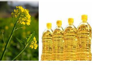 mustard oil