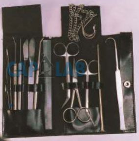 Dissecting Set Zoology