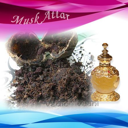 Musk Attar