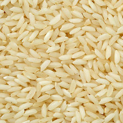 Sona Masoori Steam Non Basmati Rice, Variety : Short Grain