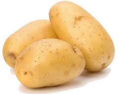 Organic fresh potato, Feature : Good Quality