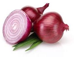 fresh red onion