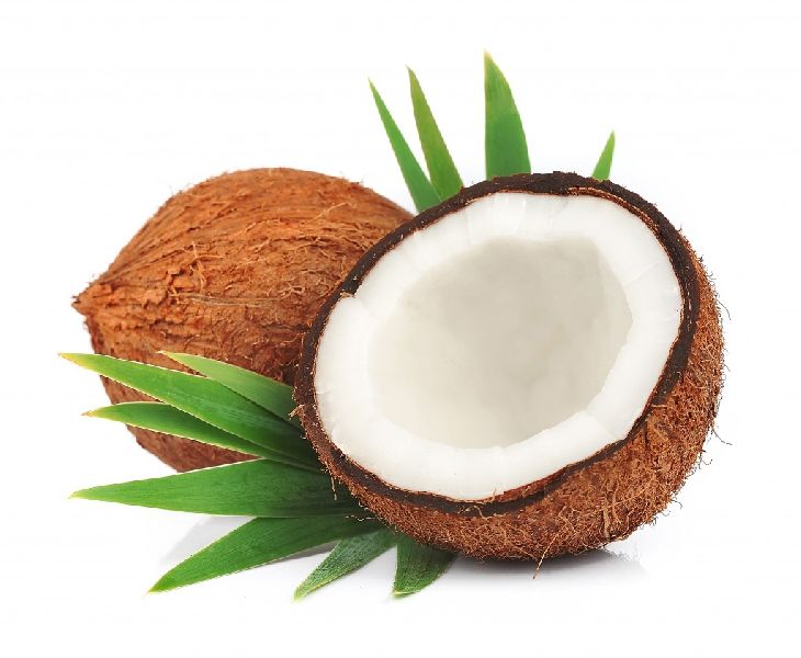Organic fresh coconut, Feature : Delicious in taste, High nutritional value