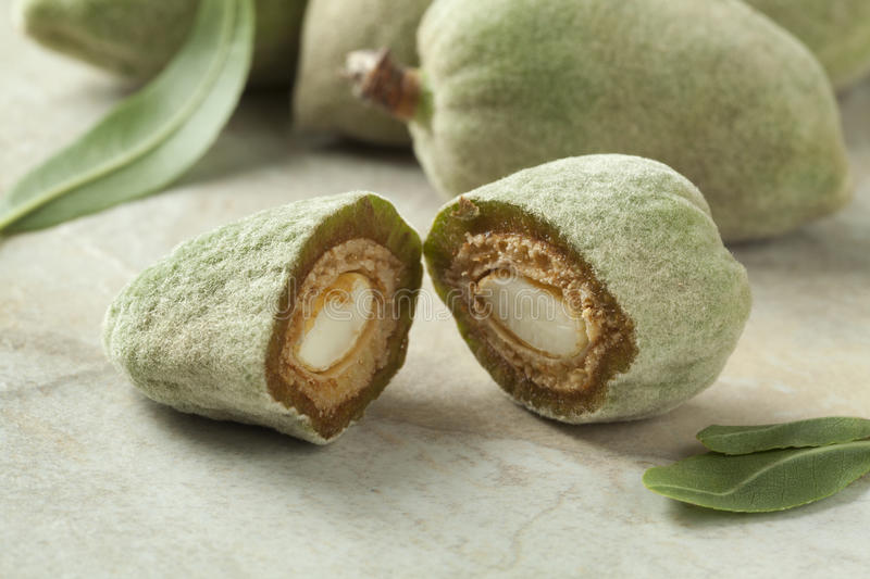 Organic Green Almonds