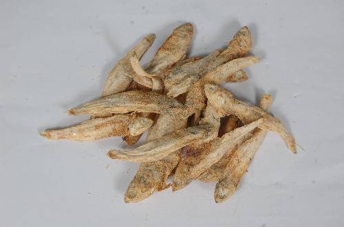 ANCHOVY WITH SALT