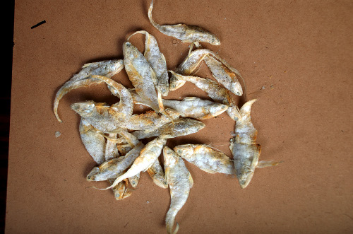 RATTALI Dry Fish