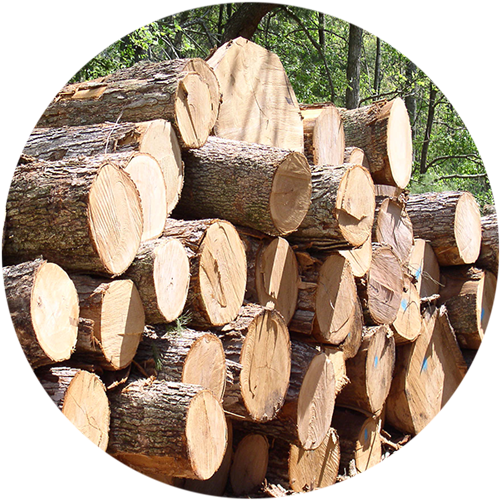 Teak Wood Manufacturer in United Arab Emirates by EVEREST METALS FZE