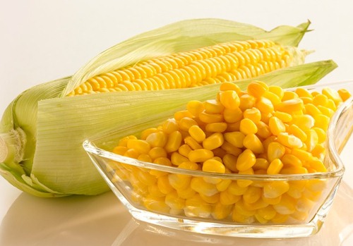 Organic Frozen Corns, Grade : Superior